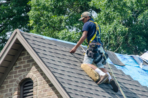 Best Roof Replacement Cost  in Bernie, MO
